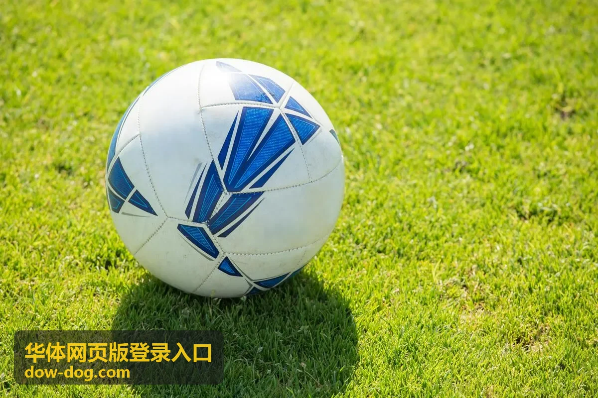 华体网页版登录入口账号安全校验示意图
